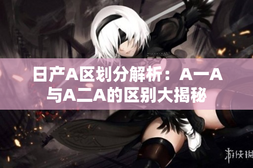 日产A区划分解析：A一A与A二A的区别大揭秘
