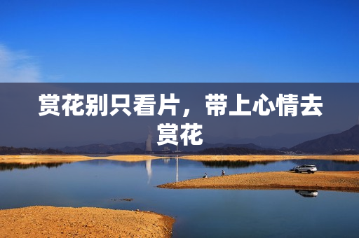 赏花别只看片，带上心情去赏花