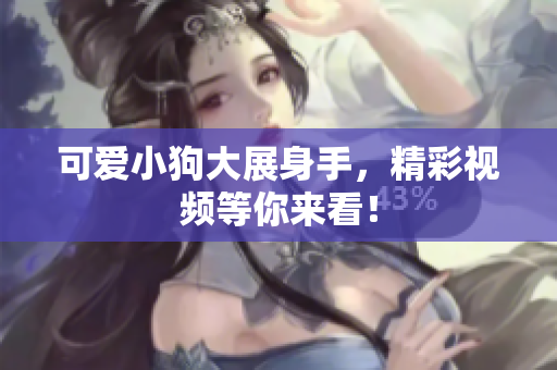 可爱小狗大展身手，精彩视频等你来看！