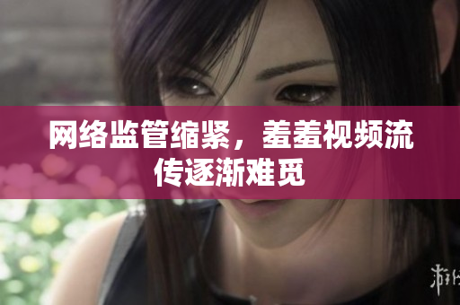 网络监管缩紧，羞羞视频流传逐渐难觅
