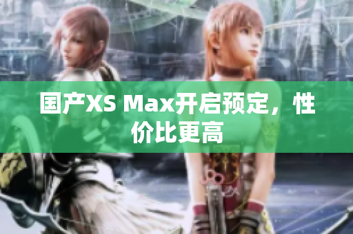 国产XS Max开启预定，性价比更高