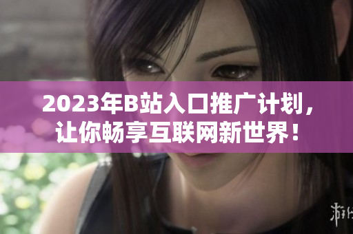 2023年B站入口推广计划，让你畅享互联网新世界！