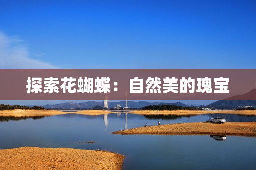 探索花蝴蝶：自然美的瑰宝