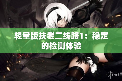 轻量版扶老二线路1：稳定的检测体验