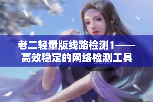 老二轻量版线路检测1——高效稳定的网络检测工具