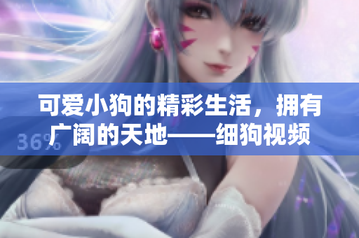 可爱小狗的精彩生活，拥有广阔的天地——细狗视频
