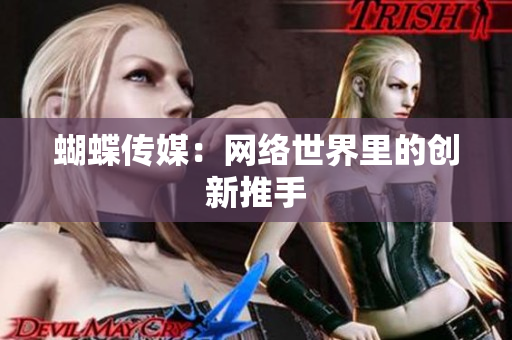 蝴蝶传媒：网络世界里的创新推手