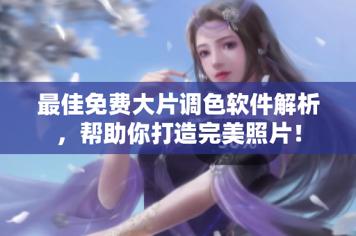 最佳免费大片调色软件解析，帮助你打造完美照片！