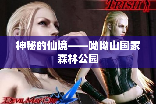 神秘的仙境——呦呦山国家森林公园