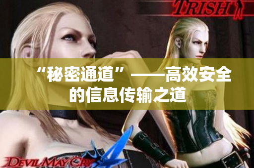 “秘密通道”——高效安全的信息传输之道