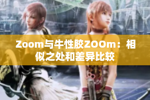 Zoom与牛性胶ZOOm：相似之处和差异比较