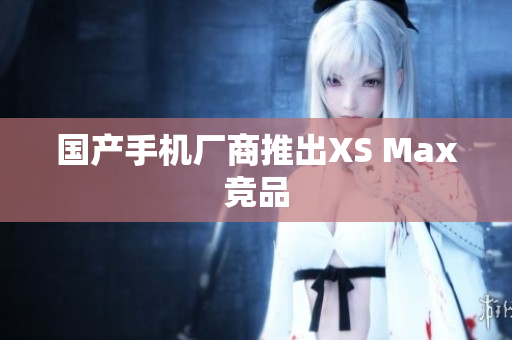国产手机厂商推出XS Max竞品