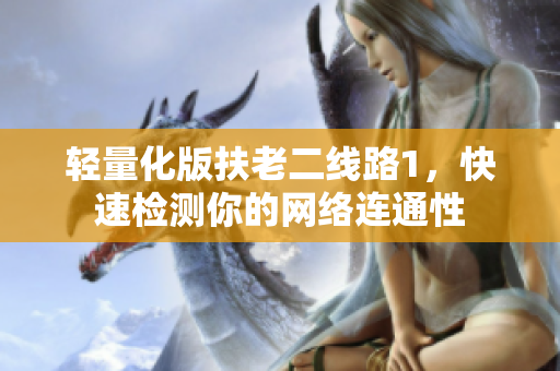 轻量化版扶老二线路1，快速检测你的网络连通性