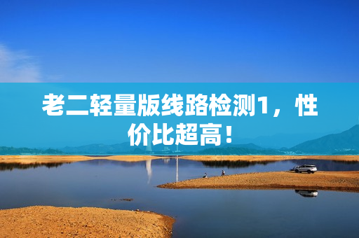 老二轻量版线路检测1，性价比超高！