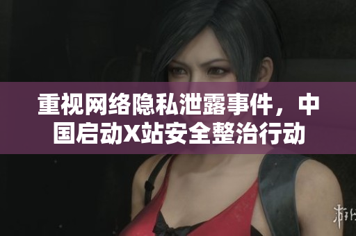重视网络隐私泄露事件，中国启动X站安全整治行动