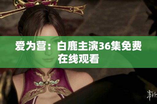 爱为营：白鹿主演36集免费在线观看