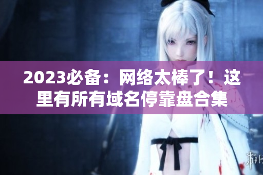 2023必备：网络太棒了！这里有所有域名停靠盘合集