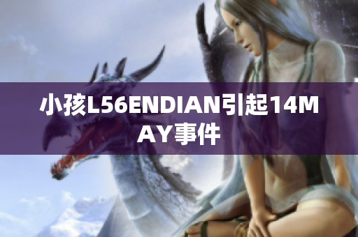 小孩L56ENDIAN引起14MAY事件