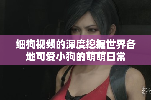 细狗视频的深度挖掘世界各地可爱小狗的萌萌日常