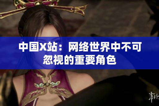中国X站：网络世界中不可忽视的重要角色