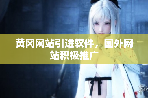 黄冈网站引进软件，国外网站积极推广