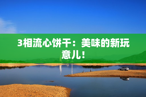 3相流心饼干：美味的新玩意儿！