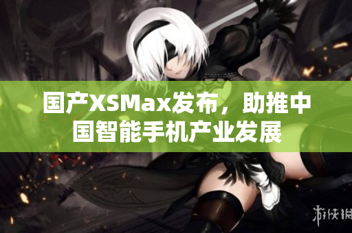 国产XSMax发布，助推中国智能手机产业发展