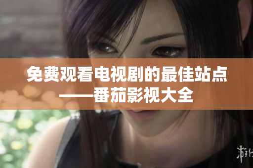 免费观看电视剧的最佳站点——番茄影视大全