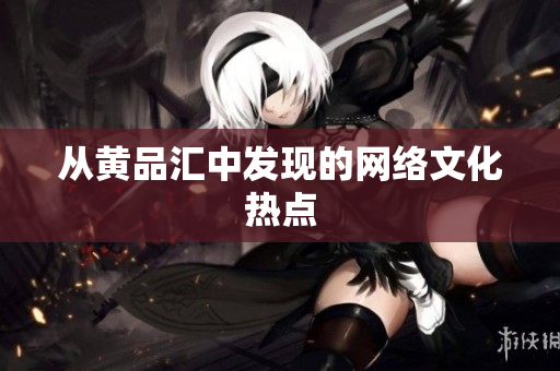 从黄品汇中发现的网络文化热点
