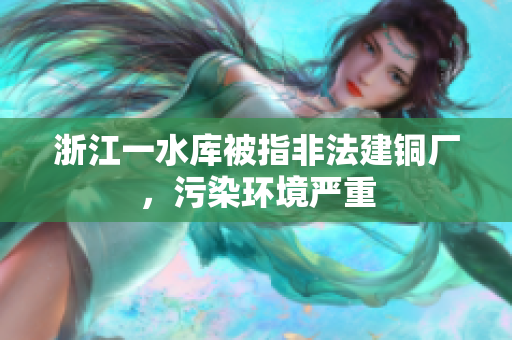 浙江一水库被指非法建铜厂，污染环境严重