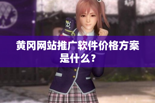 黄冈网站推广软件价格方案是什么？