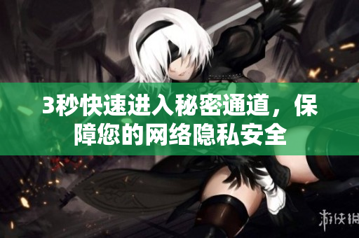 3秒快速进入秘密通道，保障您的网络隐私安全