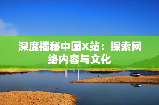 深度揭秘中国X站：探索网络内容与文化