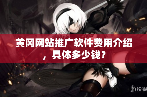 黄冈网站推广软件费用介绍，具体多少钱？
