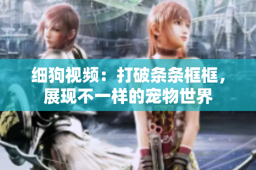 细狗视频：打破条条框框，展现不一样的宠物世界