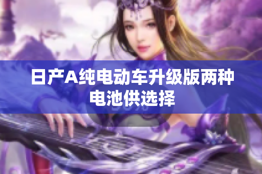 日产A纯电动车升级版两种电池供选择