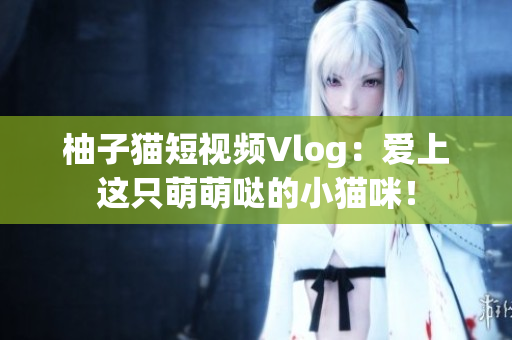 柚子猫短视频Vlog：爱上这只萌萌哒的小猫咪！