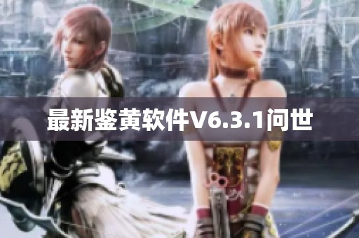 最新鉴黄软件V6.3.1问世