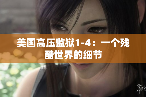 美国高压监狱1-4：一个残酷世界的细节