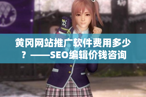 黄冈网站推广软件费用多少？——SEO编辑价钱咨询