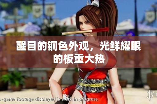 醒目的铜色外观，光鲜耀眼的板重大热