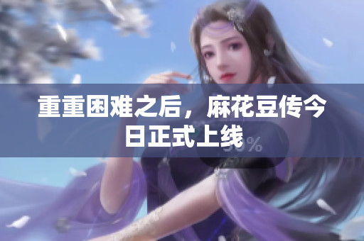 重重困难之后，麻花豆传今日正式上线