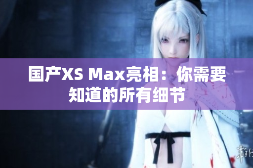 国产XS Max亮相：你需要知道的所有细节