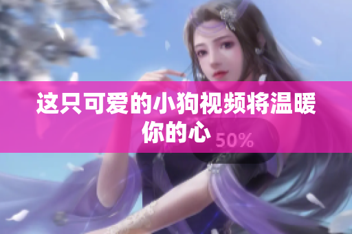 这只可爱的小狗视频将温暖你的心