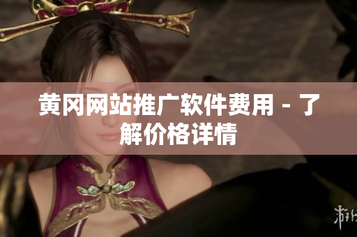黄冈网站推广软件费用 - 了解价格详情