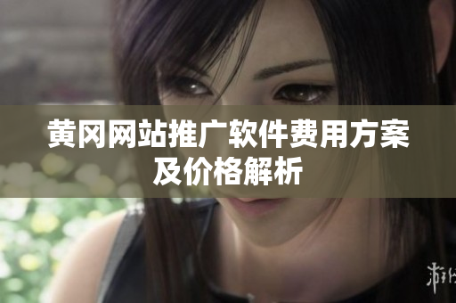 黄冈网站推广软件费用方案及价格解析