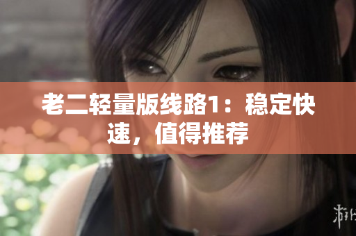 老二轻量版线路1：稳定快速，值得推荐