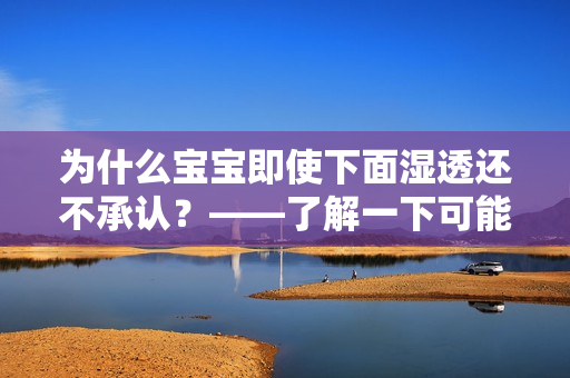 为什么宝宝即使下面湿透还不承认？——了解一下可能的原因