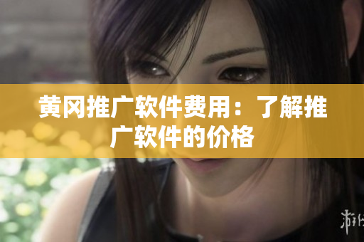 黄冈推广软件费用：了解推广软件的价格