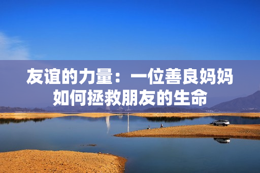 友谊的力量：一位善良妈妈如何拯救朋友的生命